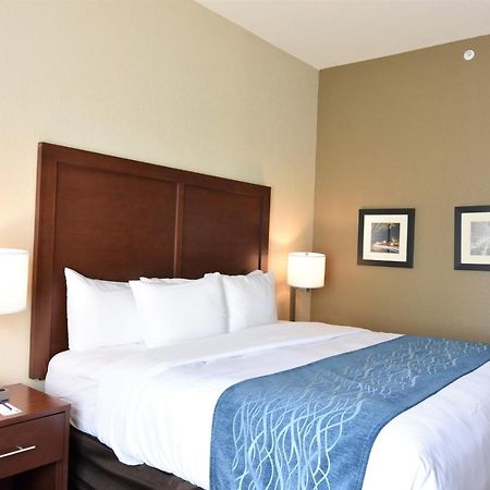 Comfort Inn & Suites ロックヒル エクステリア 写真